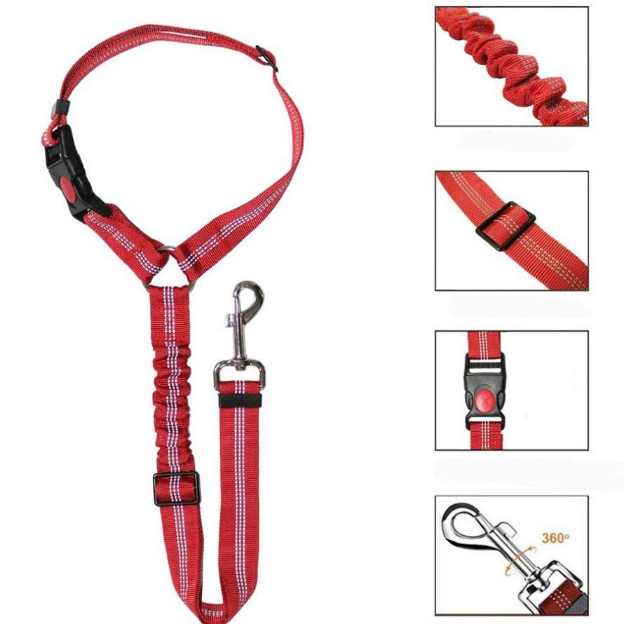 Ceinture de sécurité pour voiture pour chien