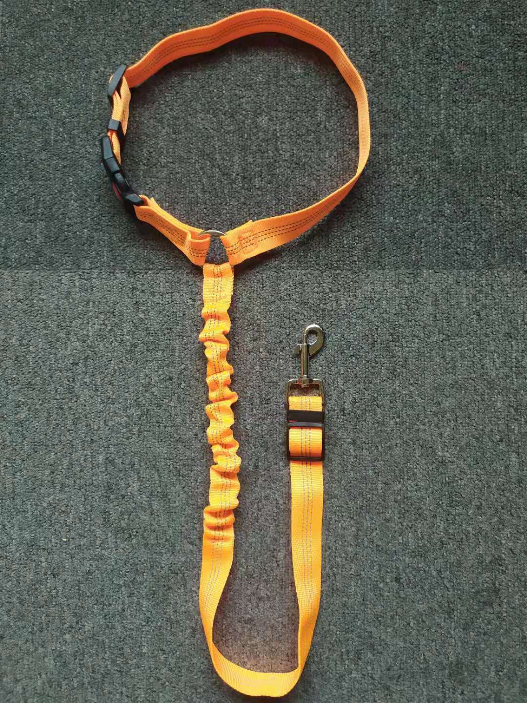 Ceinture de sécurité pour voiture pour chien