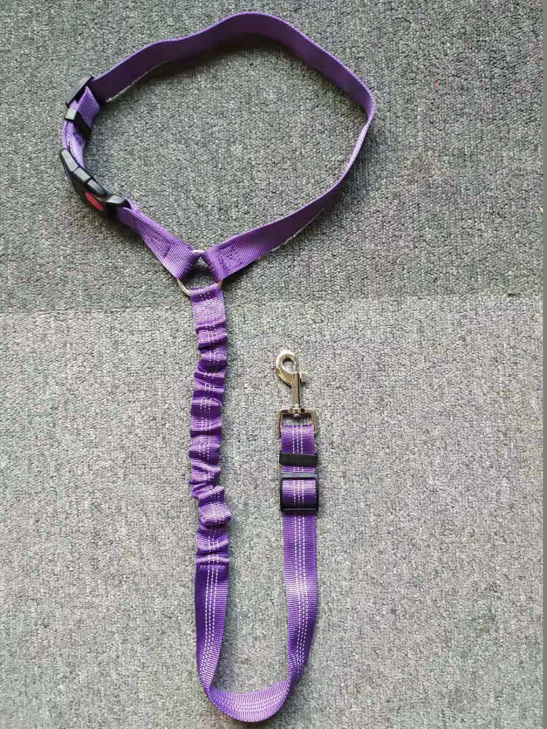 Ceinture de sécurité pour voiture pour chien