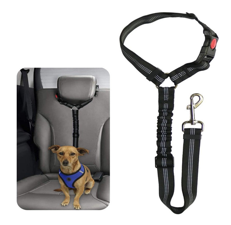 Ceinture de sécurité pour voiture pour chien