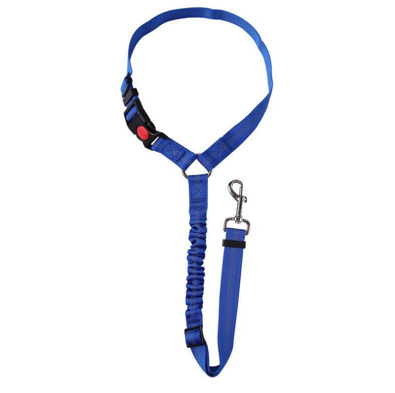 Ceinture de sécurité pour voiture pour chien