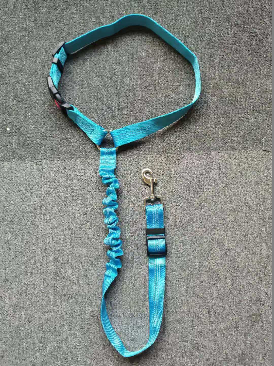 Ceinture de sécurité pour voiture pour chien