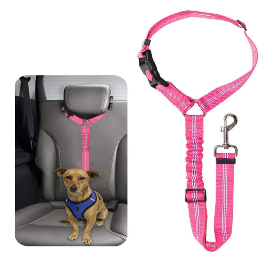 Ceinture de sécurité pour voiture pour chien