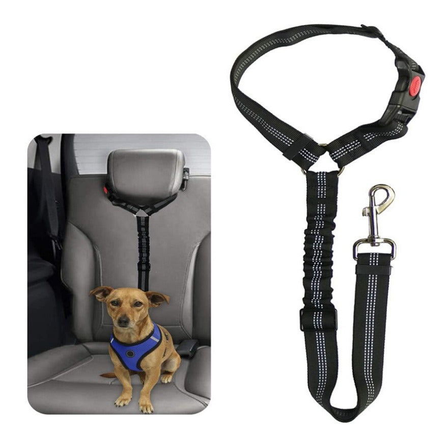 Ceinture de sécurité pour voiture pour chien