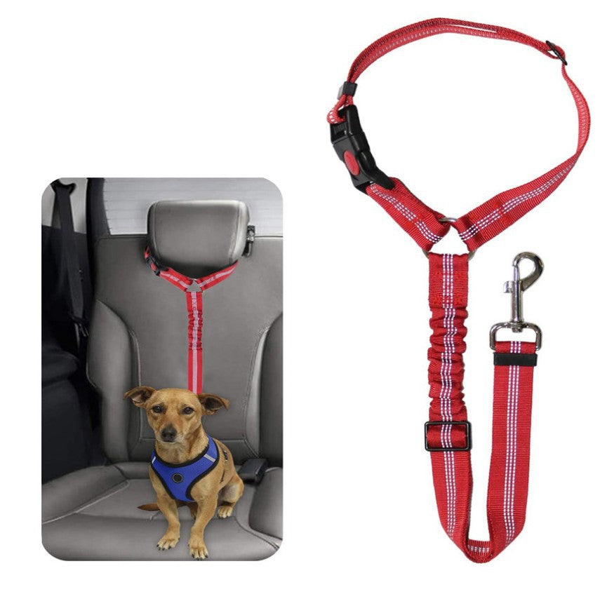 Ceinture de sécurité pour voiture pour chien